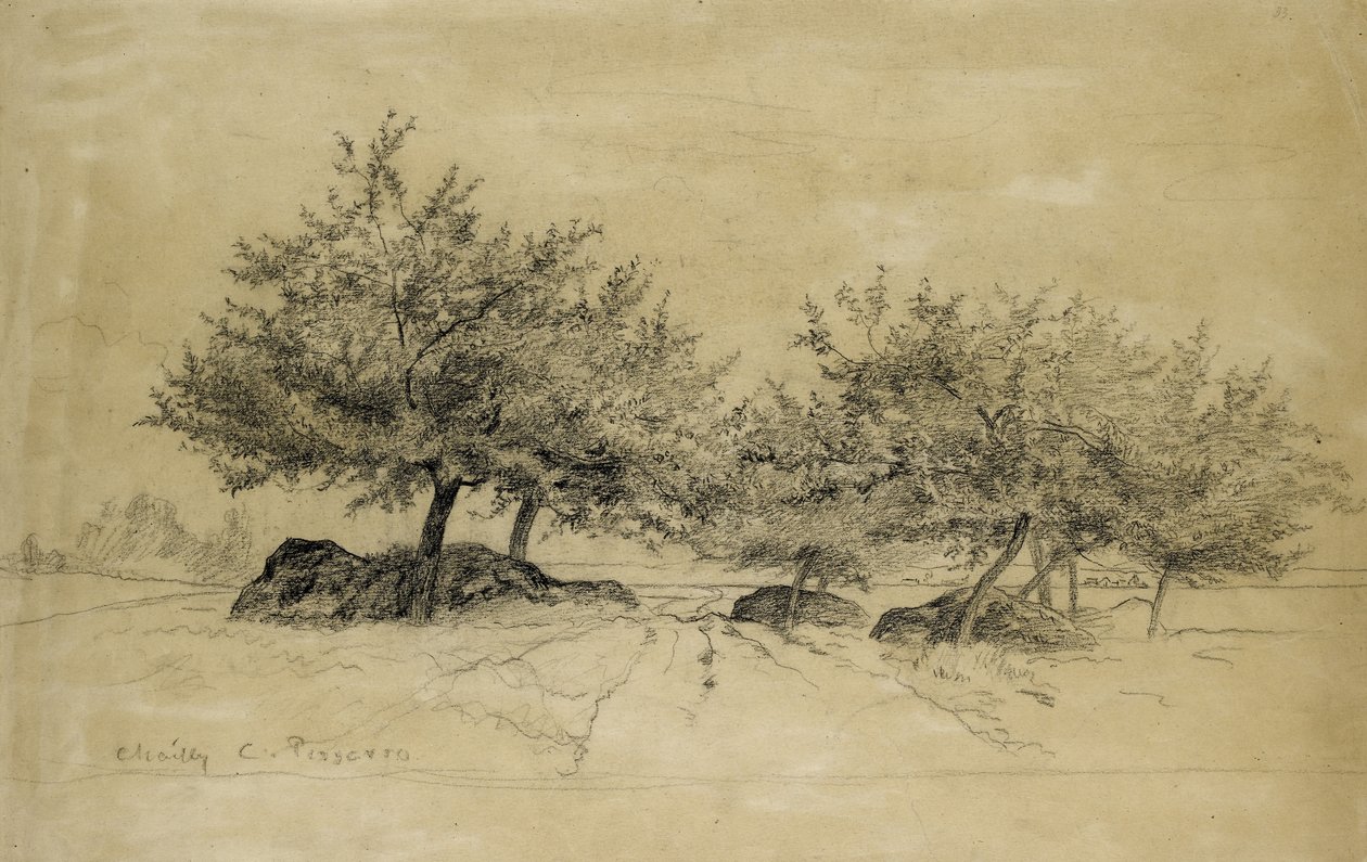 Puheenvuoro: Chailly, c. 1859 (hiili beigelle paperille) tekijältä Camille Jacob Pissarro