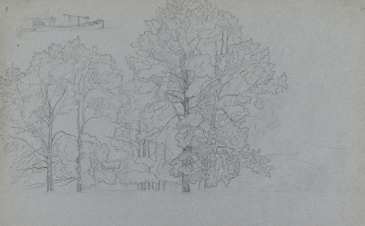 Puiden tutkimus, jossa pieni tutkimus proomusta, 1859 (kynä ja tumma muste grafiitin päällä harmaansinisellä paperilla) tekijältä Camille Jacob Pissarro