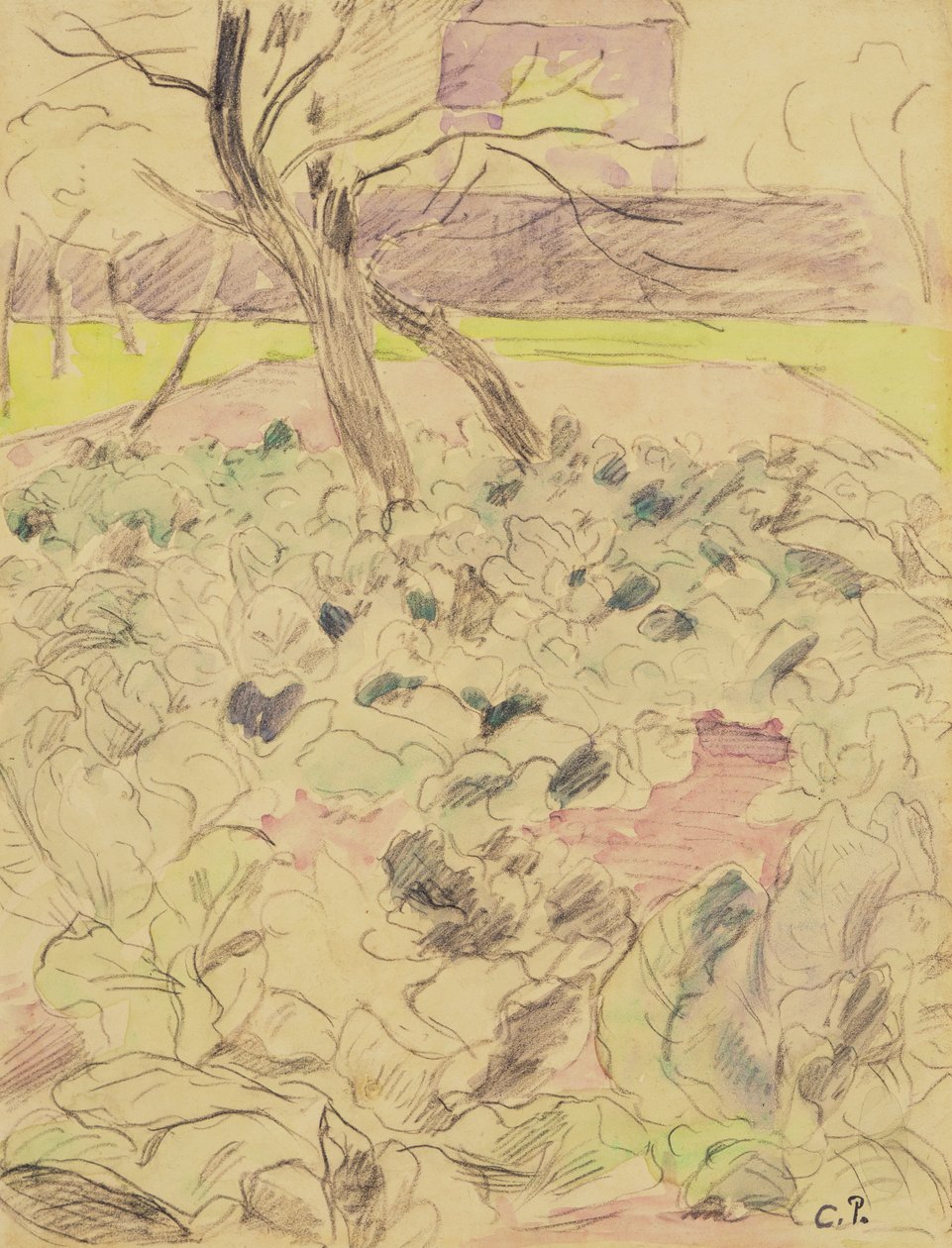 Kaalipelto, n. 1880 (kynä ja wc paperilla) tekijältä Camille Jacob Pissarro