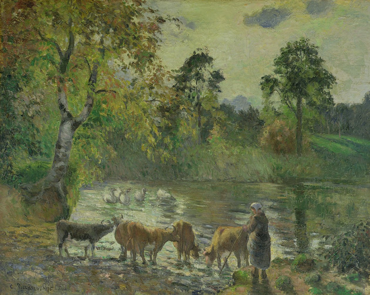Lampi Montfoucault