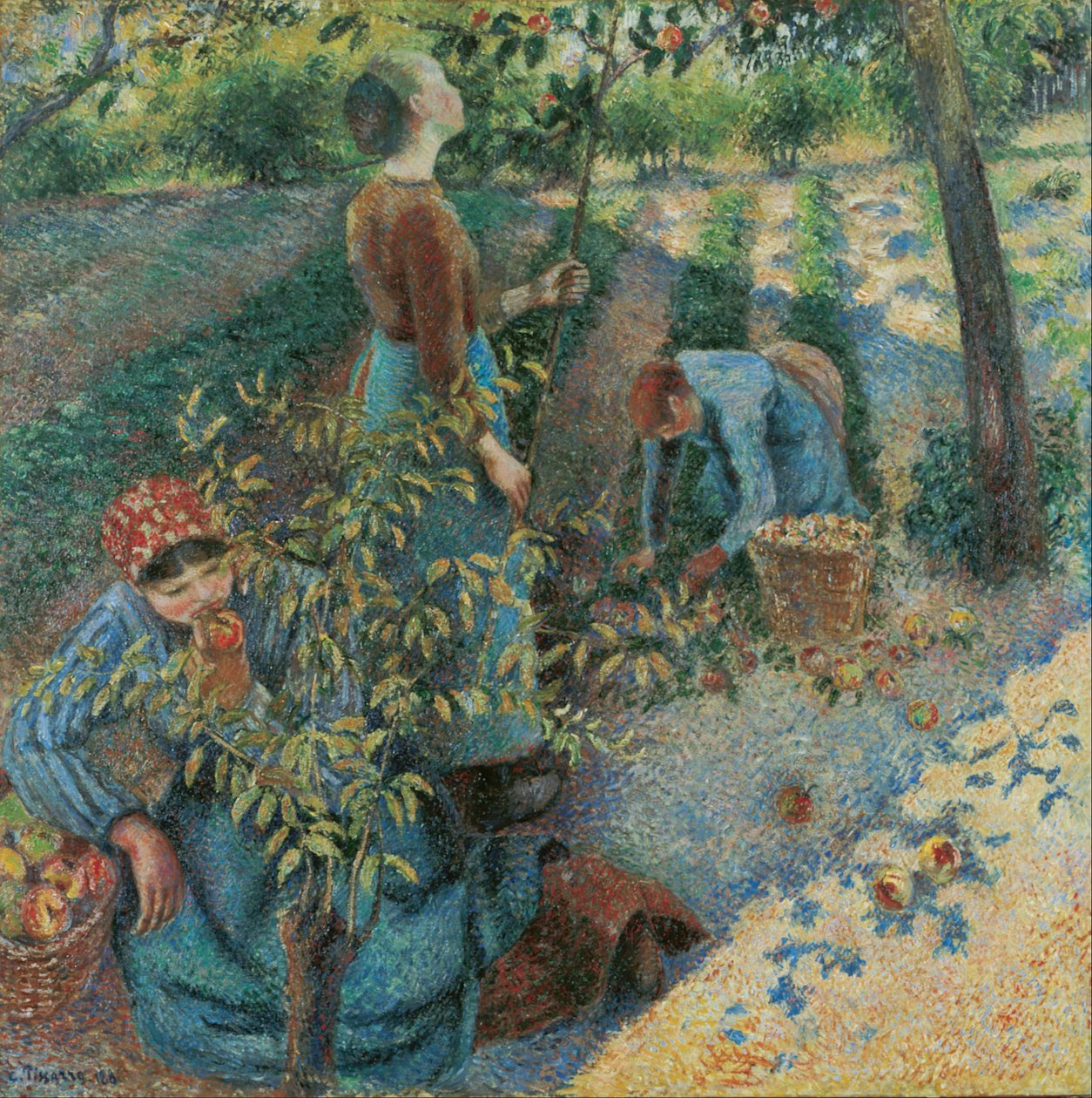 Omenan poiminta tekijältä Camille Jacob Pissarro