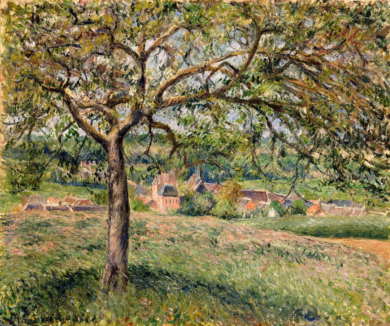 Omenapuu Eragnyssa, 1884 tekijältä Camille Jacob Pissarro