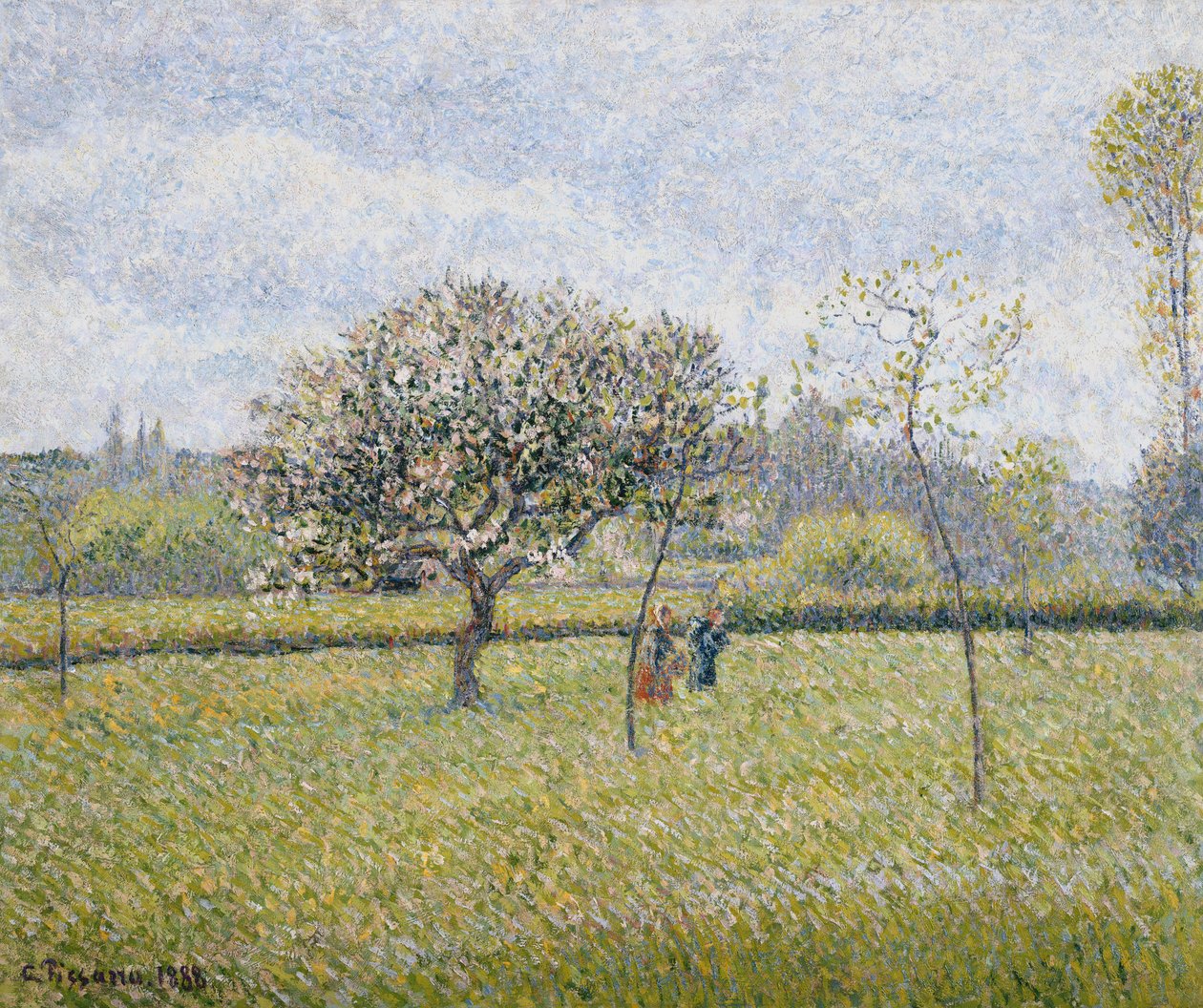 Apple Tree in Flower at Eragny; Pommier en Fleur a Eragny, 1888 tekijältä Camille Jacob Pissarro