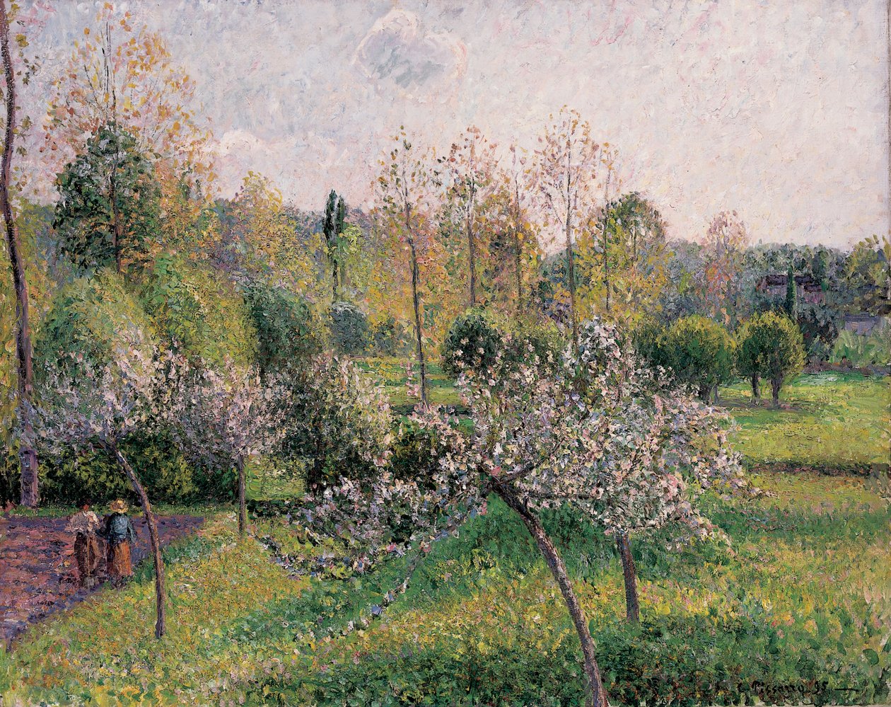 Apple Trees in Blossom, Eragny, 1895 tekijältä Camille Jacob Pissarro
