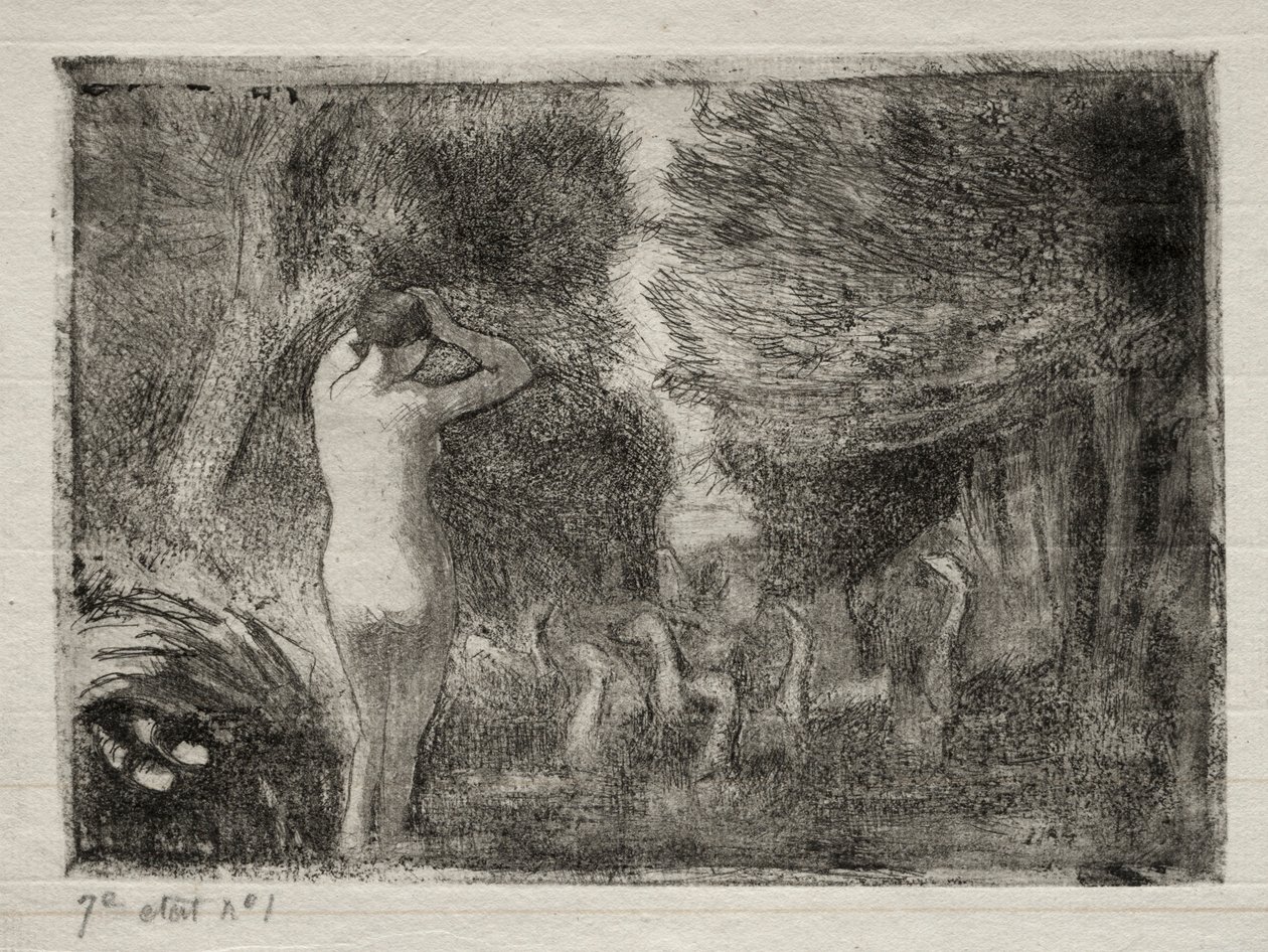 Kylpylä ja hanhet, 1895. tekijältä Camille Jacob Pissarro