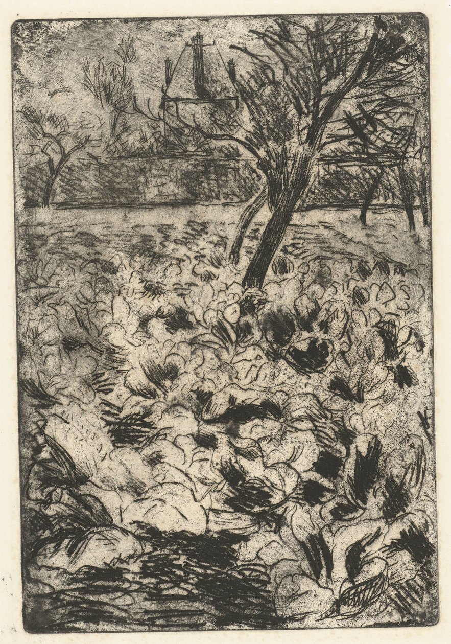 Mukula-kenttä Le champ de choix tekijältä Camille Jacob Pissarro