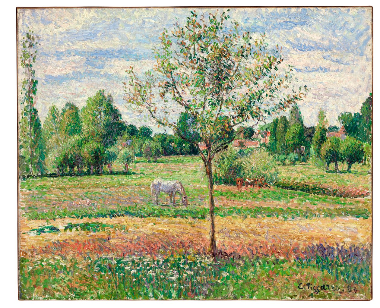 Meadow with Grey Horse, Eragny, 1893 tekijältä Camille Jacob Pissarro