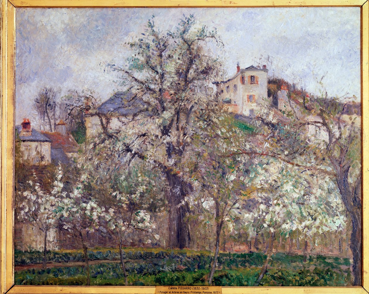 Kevät, luumunkukkia Pontoisessa - öljy kankaalle tekijältä Camille Jacob Pissarro