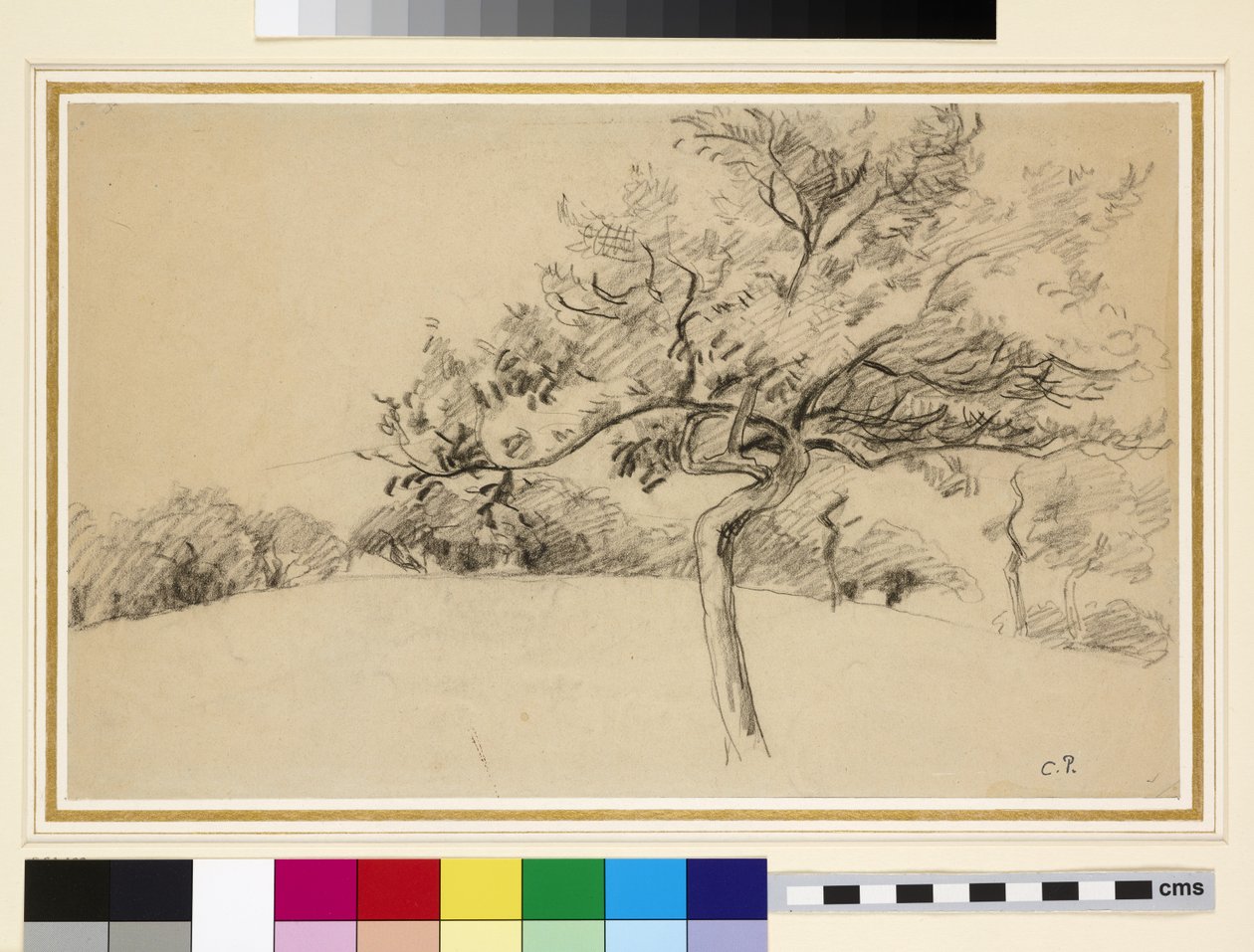 Tutkimus Eragny-sur-Epten hedelmätarhasta, etualalla puu (musta liitu paperille). tekijältä Camille Jacob Pissarro