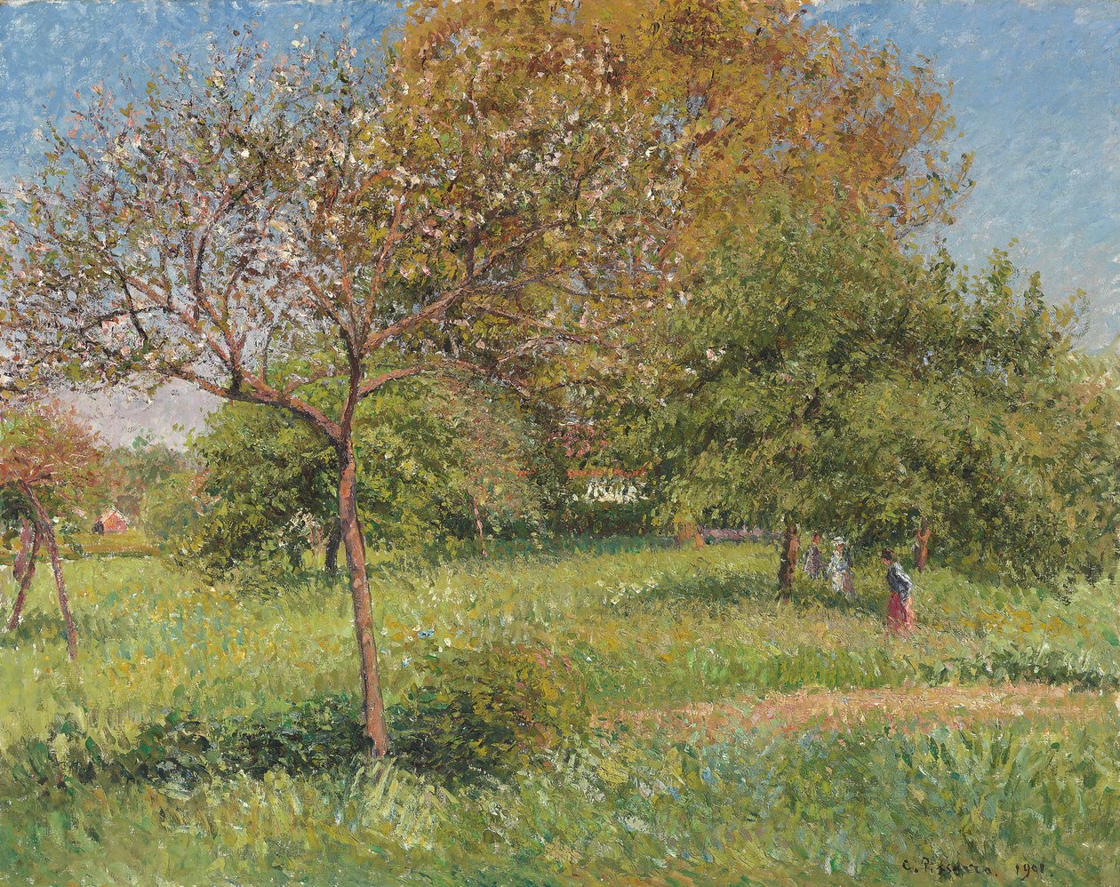 Suuri pähkinäpuu, Aamu, Eragny; Le Grand Noyer, Matin, Eragny, 1901 tekijältä Camille Jacob Pissarro