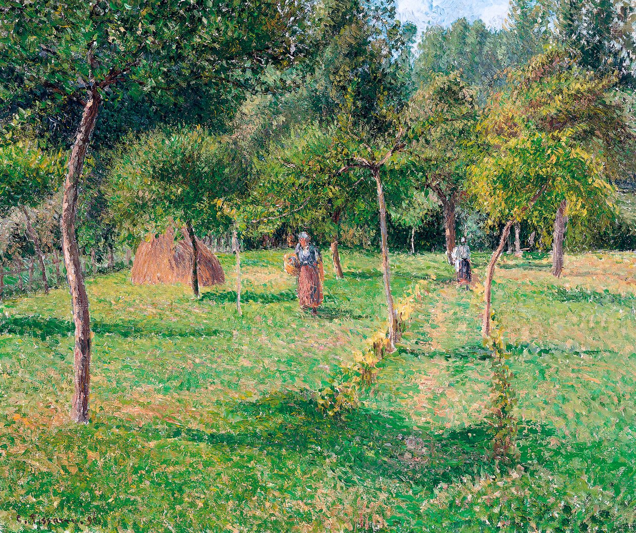 Orchard at Éragny, 1896 tekijältä Camille Jacob Pissarro
