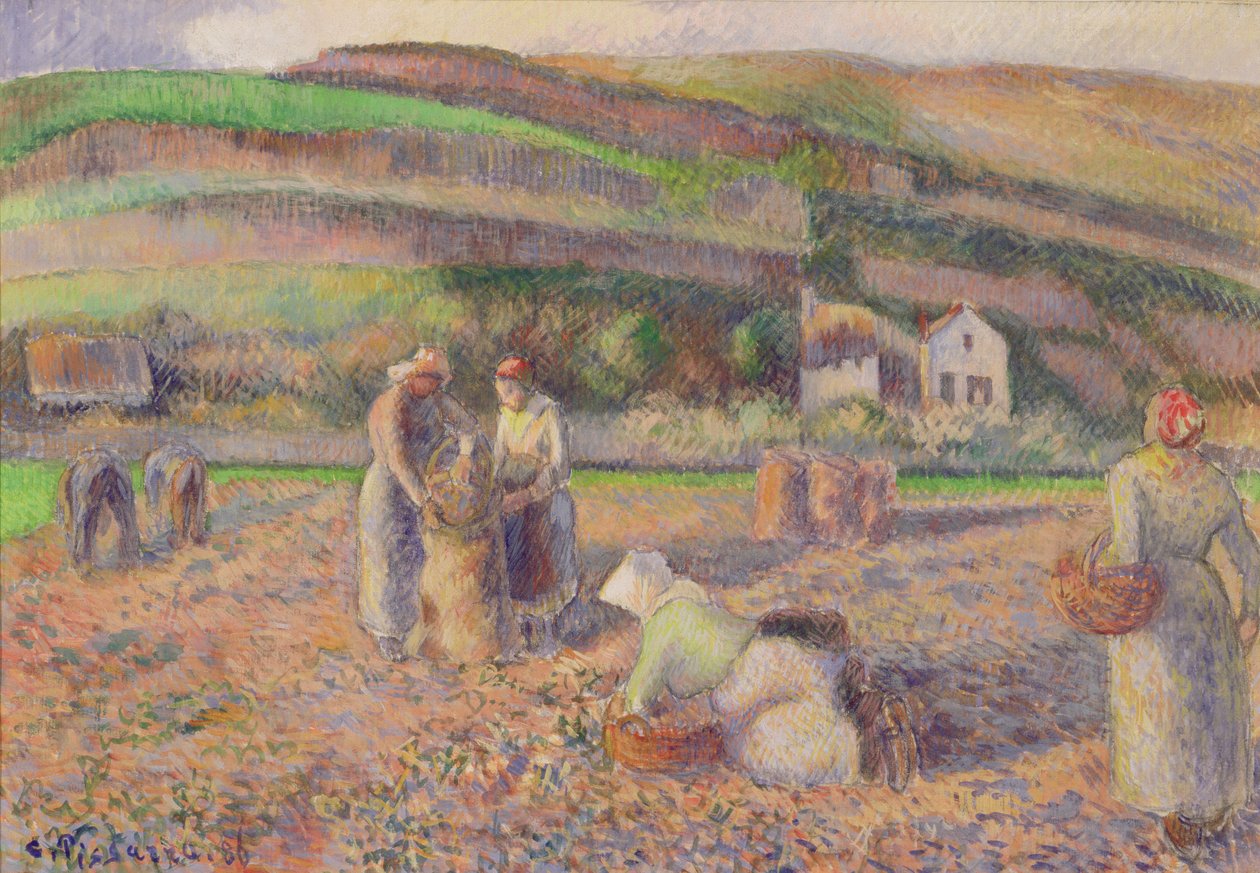 Perunasato, 1886 tekijältä Camille Jacob Pissarro