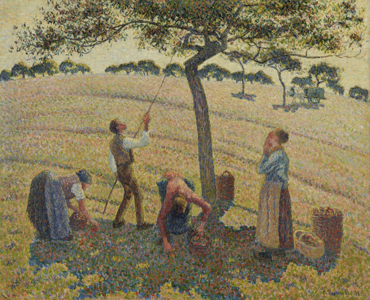 Omenan sato tekijältä Camille Jacob Pissarro