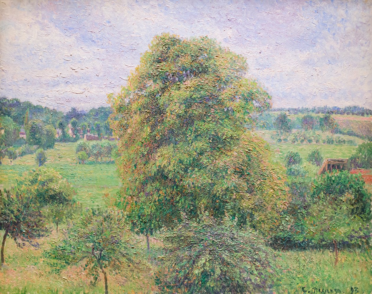 Iso pähkinäpuu Eragnyssa tekijältä Camille Pissarro