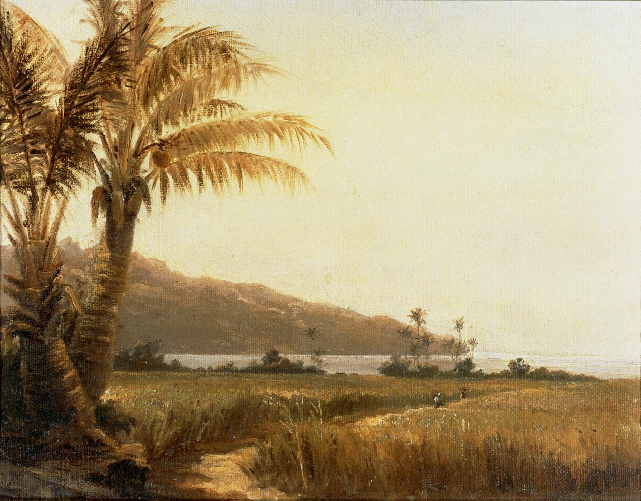 Kookospalmuja meren rannalla, Saint Thomas, Antillit ... (maalaus kankaalle) tekijältä Camille Pissarro