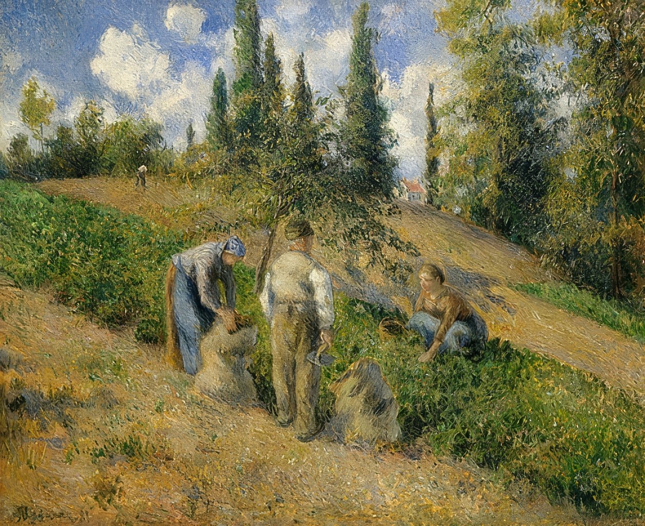 Die Ernte, Pontoise. / The Harvest, Pontoise. 1881 tekijältä Camille Jacob Pissarro