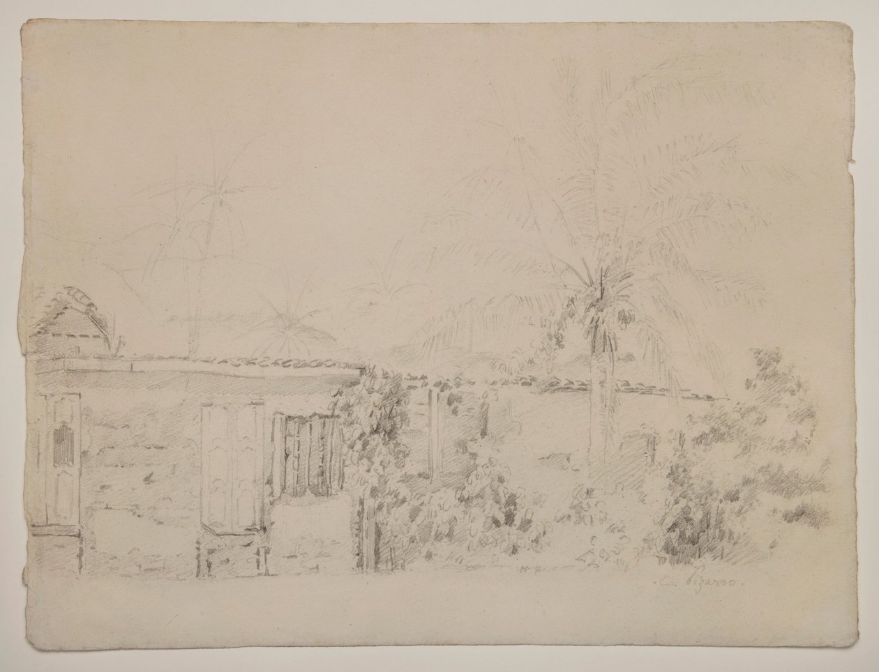 Taloja ja palmuja tekijältä Camille Pissarro