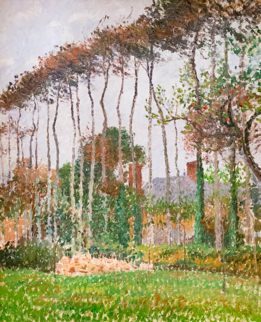 Maisema Varengevillessä, n. 1889 (öljy kankaalle) tekijältä Camille Pissarro