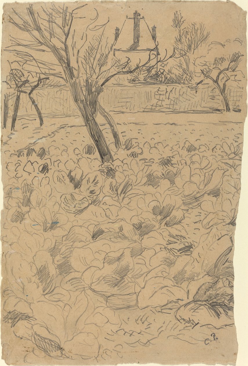 Kaalipelto tekijältä Camille Pissarro