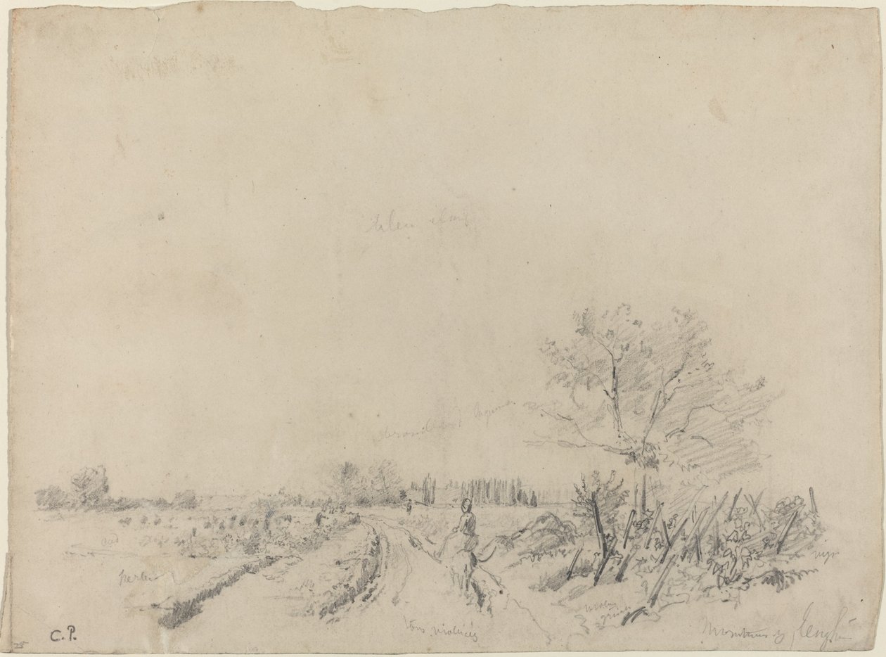 Montmorency Road tekijältä Camille Pissarro