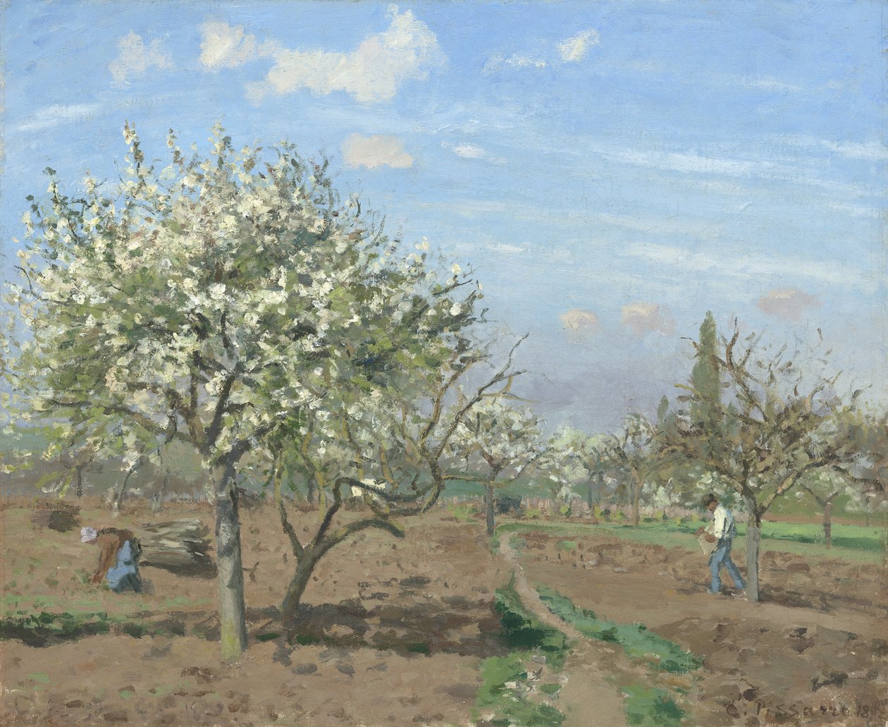 Orchard in Bloom, Louveciennes tekijältä Camille Jacob Pissarro