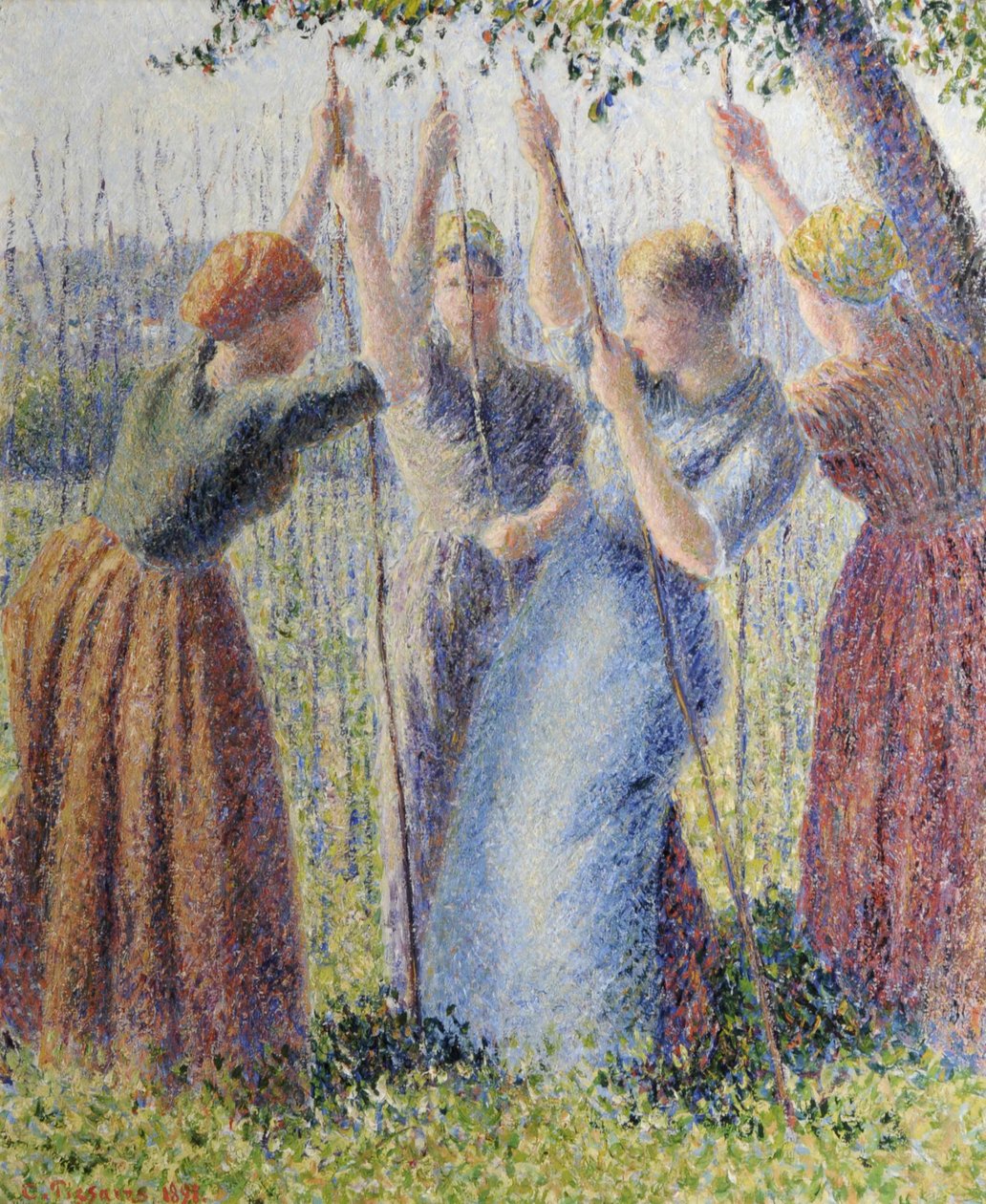 Talonpoikaisnaiset istuttavat rammesia tekijältä Camille Pissarro