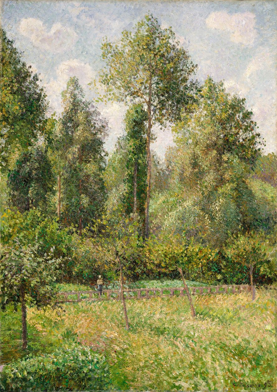 Poppelit, Éragny tekijältä Camille Jacob Pissarro