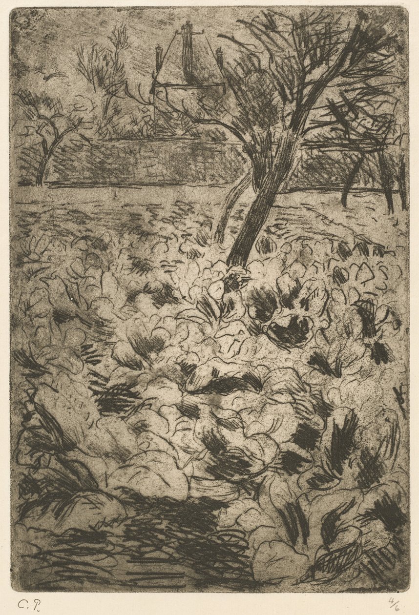 Kaalipelto tekijältä Camille Pissarro