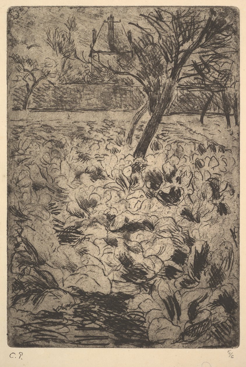 Kaalipelto, n. 1880. tekijältä Camille Jacob Pissarro