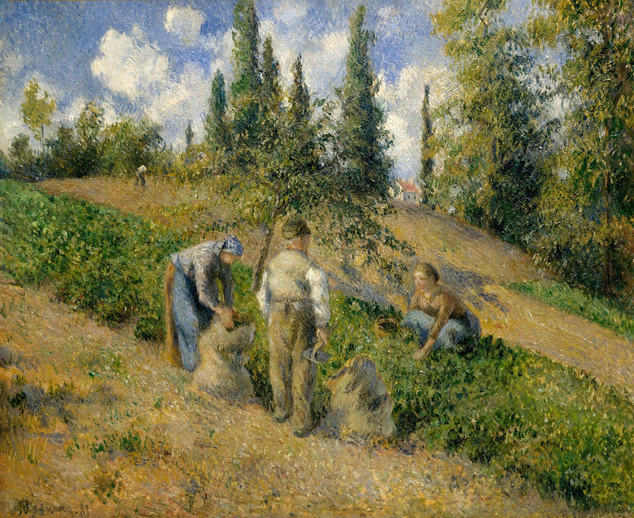Sato, Pontoise tekijältä Camille Jacob Pissarro