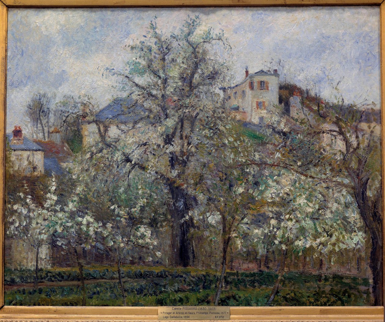 Kasvitarha ja puut kukkivat keväällä Pontoisessa (luumupuut kukkivat) Camille Pissarron (1830-1903) maalaus. 1877. Dim. 0,65 x 0,81 m. Pariisi, Musee d