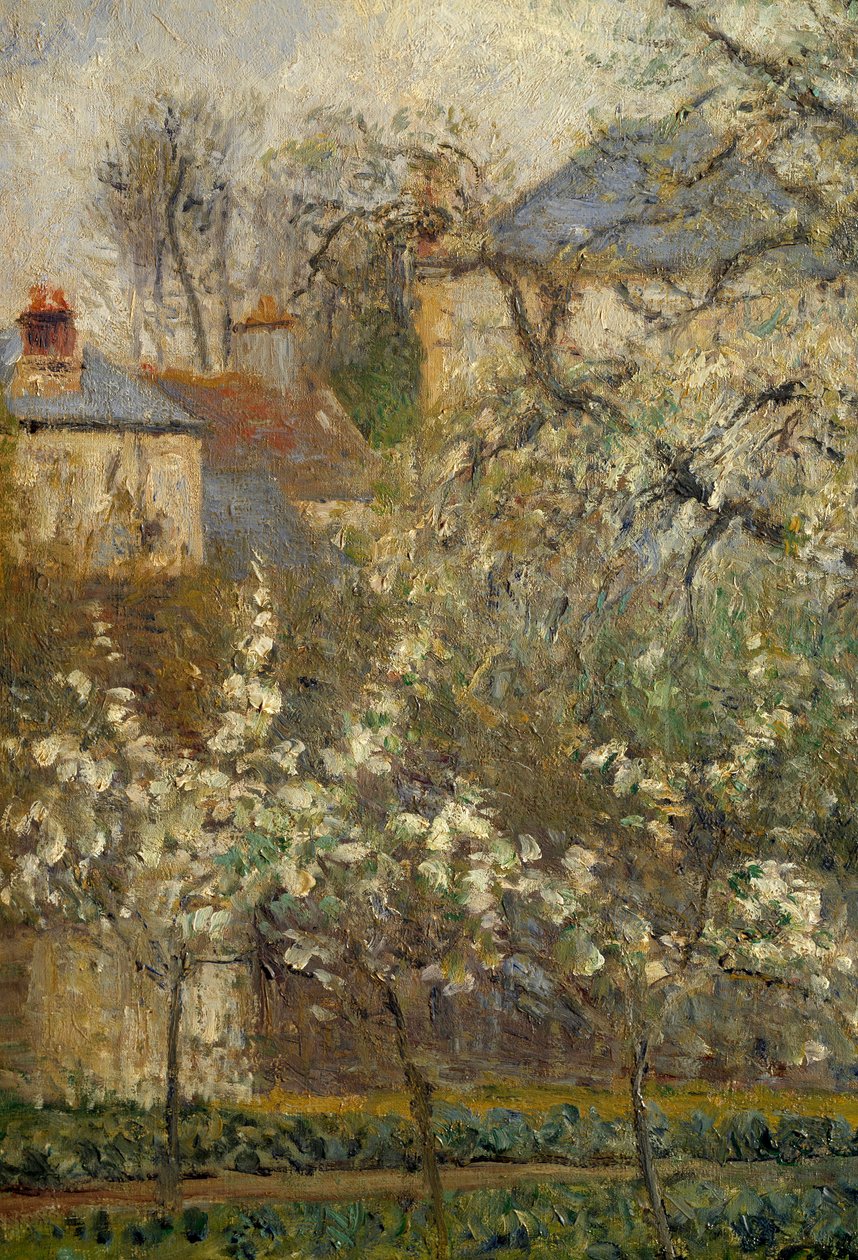 Kasvispuutarha ja puut kukkivat keväällä Pontoisessa tekijältä Camille Jacob Pissarro