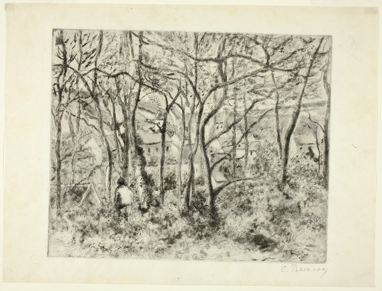 Metsät Eremitaasissa tekijältä Camille Pissarro