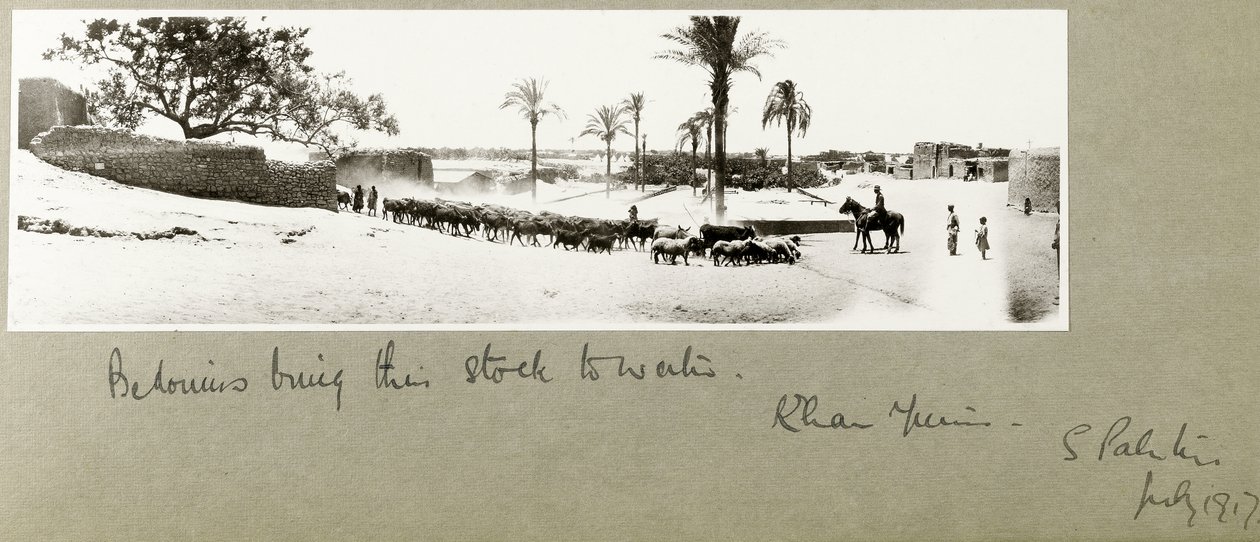 Beduiinit tuovat kantansa veteen, Khan Yunis, Etelä-Palestiina, heinäkuu 1917 tekijältä Capt. Arthur Rhodes