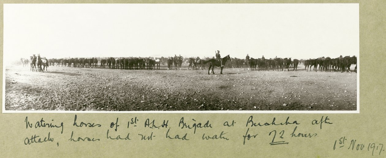 1. A.L.H.:n hevosten juotto Prikaati Beershebassa hyökkäyksen jälkeen, hevoset eivät olleet saaneet vettä 72 tuntiin, 1. marraskuuta 1917 tekijältä Capt. Arthur Rhodes