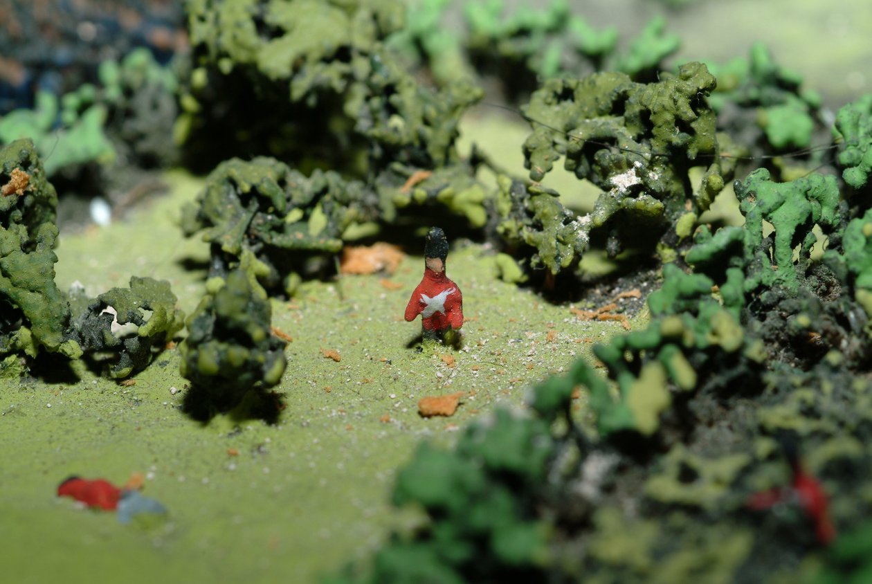 Waterloon taistelun diorama, jossa näkyvät joukot sijoittuneet 18. kesäkuuta 1815 klo 19.45 (sekoitettu media) (yksityiskohta) tekijältä Capt. William Siborne