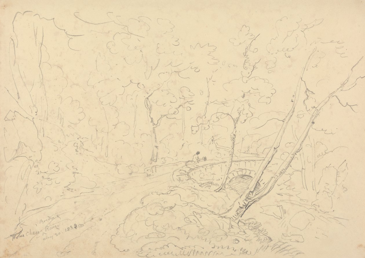 Holne Chase Bridge and River, 30. toukokuuta 1833 tekijältä Capt. Thomas Hastings