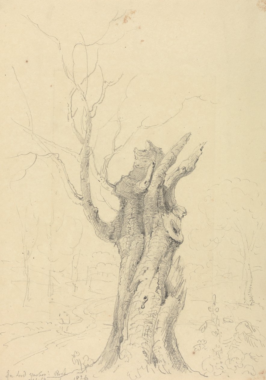 Lord Yarborough