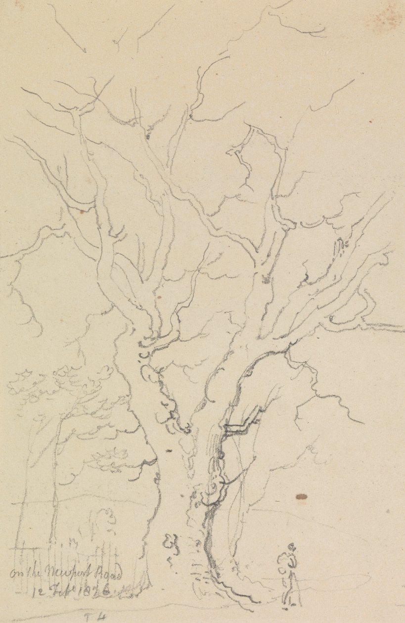 Newport Roadilla, 12. helmikuuta 1826 tekijältä Capt. Thomas Hastings