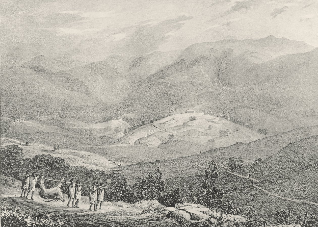 Ottacamund, Näkymä Great Dodabetta, Neelgherry Mountains, levy 4 Kapteeni McCurdyn teoksesta "Näkymä Neilgherriesistä tai Blue Mountains of Coimbetoor, Etelä-Intia", julkaistu 1830 tekijältä Captain E. A. McCurdy