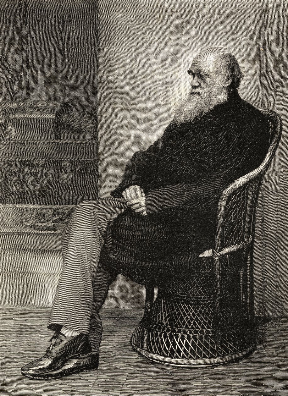 Charles Darwin, kuvitus teoksesta "The Life and Letters of Charles Darwin", osa II, julkaistu 1887. tekijältä Captain L. Darwin