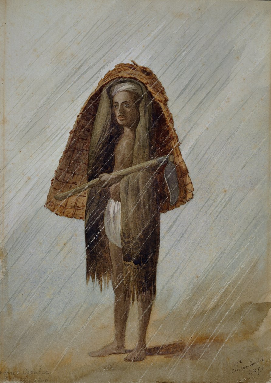 Cultivador Concan Coonbie, finlandès de l