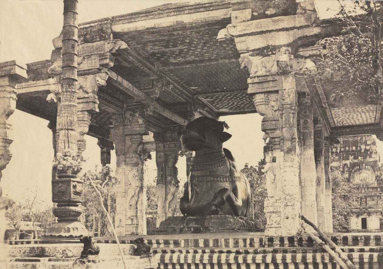 Suuri pagodi, suuri härkä, näkymä edestä, Tanjore, Intia Rajarajesvaran temppeli, 1857. tekijältä Captain Linnaeus Tripe