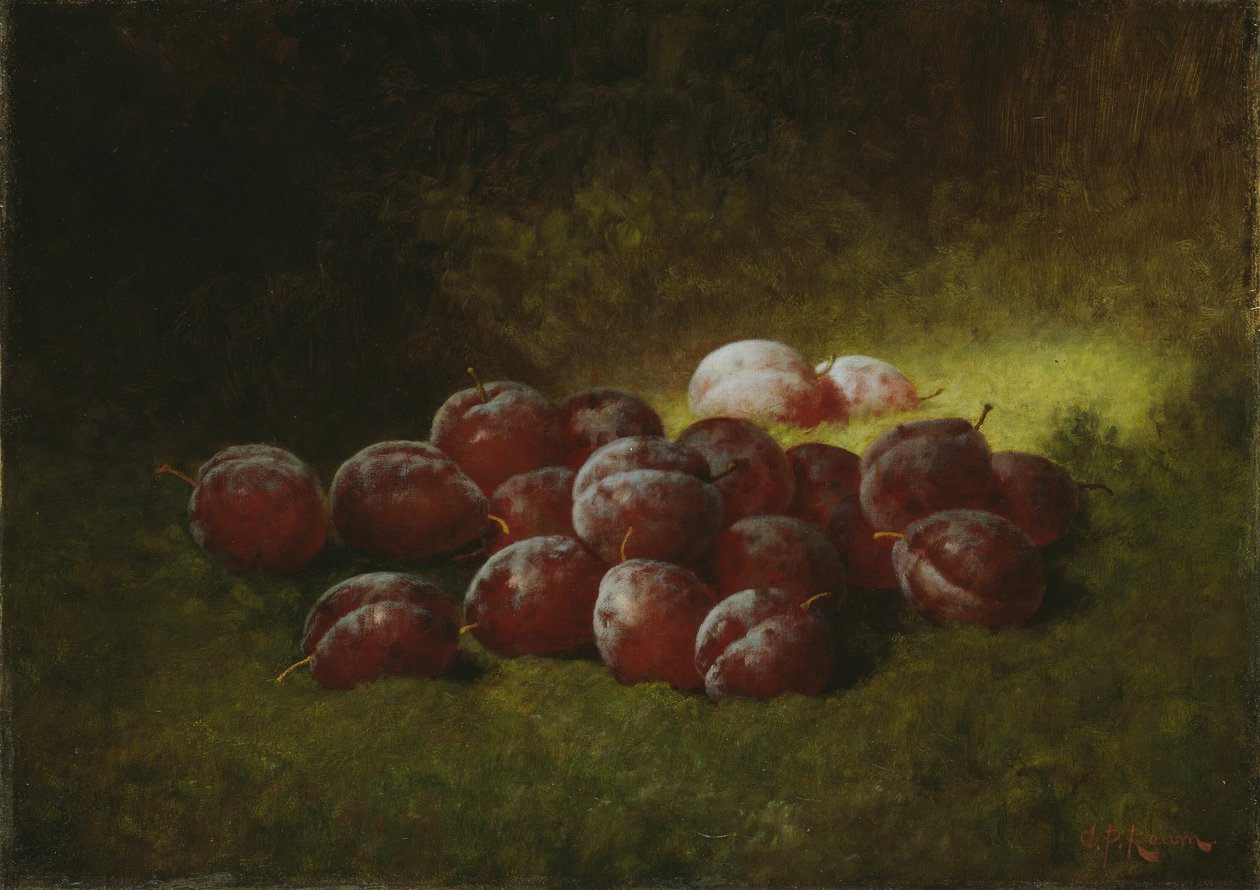 Purppurat luumut, 1895. tekijältä Carducius Plantagenet Ream