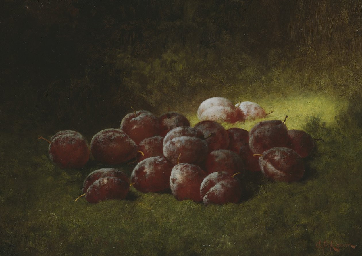 Purppurat luumut, 1895 tekijältä Carducius Plantagenet Ream
