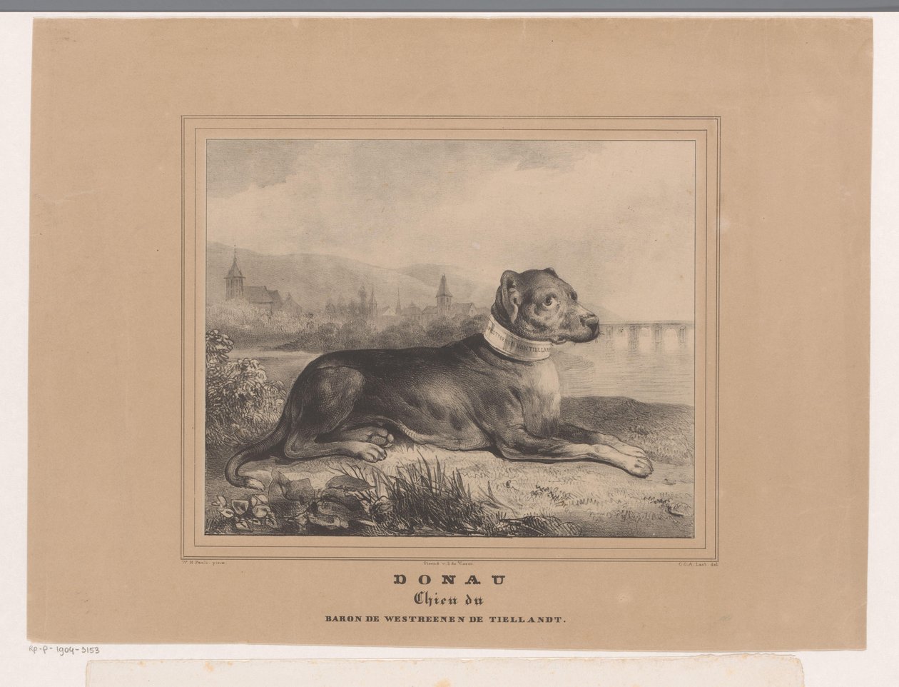 Koira Tonava Tonava. Chien du Baron de Westreenen de Tiellandt (otsikko esineessä) tekijältä Carel Christiaan Antony Last