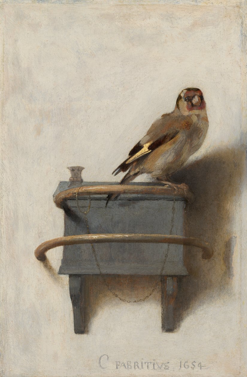 Kultasirkku, 1654 tekijältä Carel Fabritius