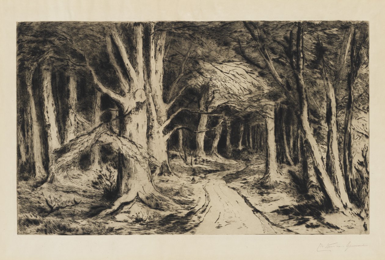 Metsäpolku, noin 1885 tekijältä Carel Nicolaas Storm van s Gravesande