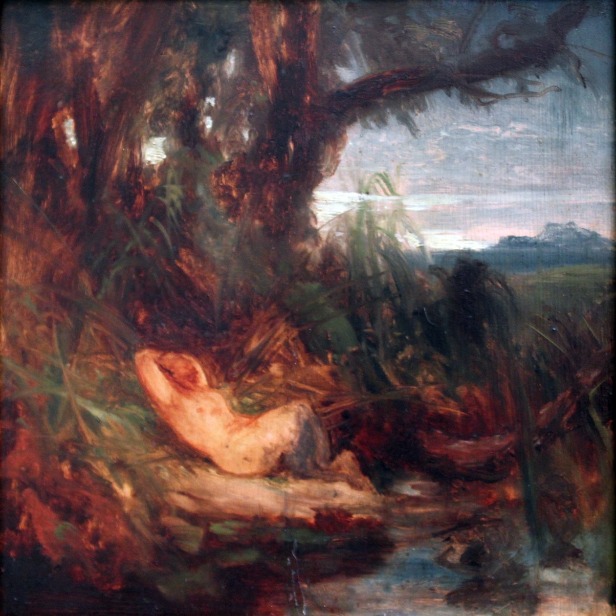 Nukkuva Faun kaislikossa tekijältä Carl Blechen