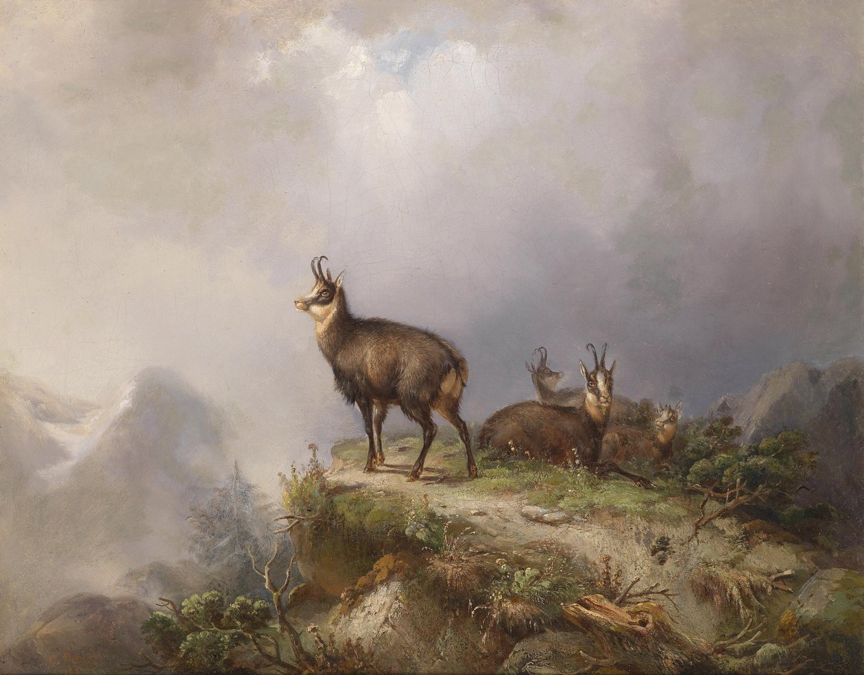 Chamois tekijältä Carl Friedrich Ockert